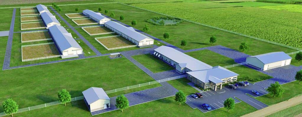 Die neue Biotech-Rinderfarm in South Dakota