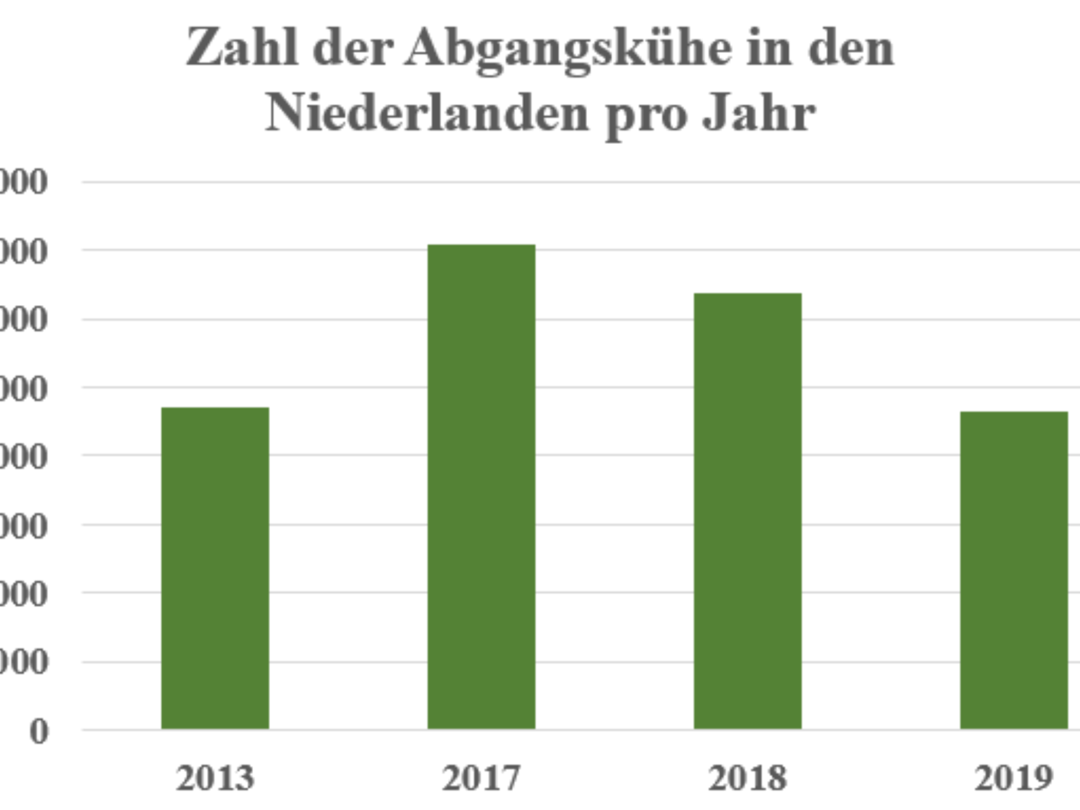 Die Phosphatquote bedingte in den Niederlanden hohe Kuhabg&#x26;#x26;#228;nge.