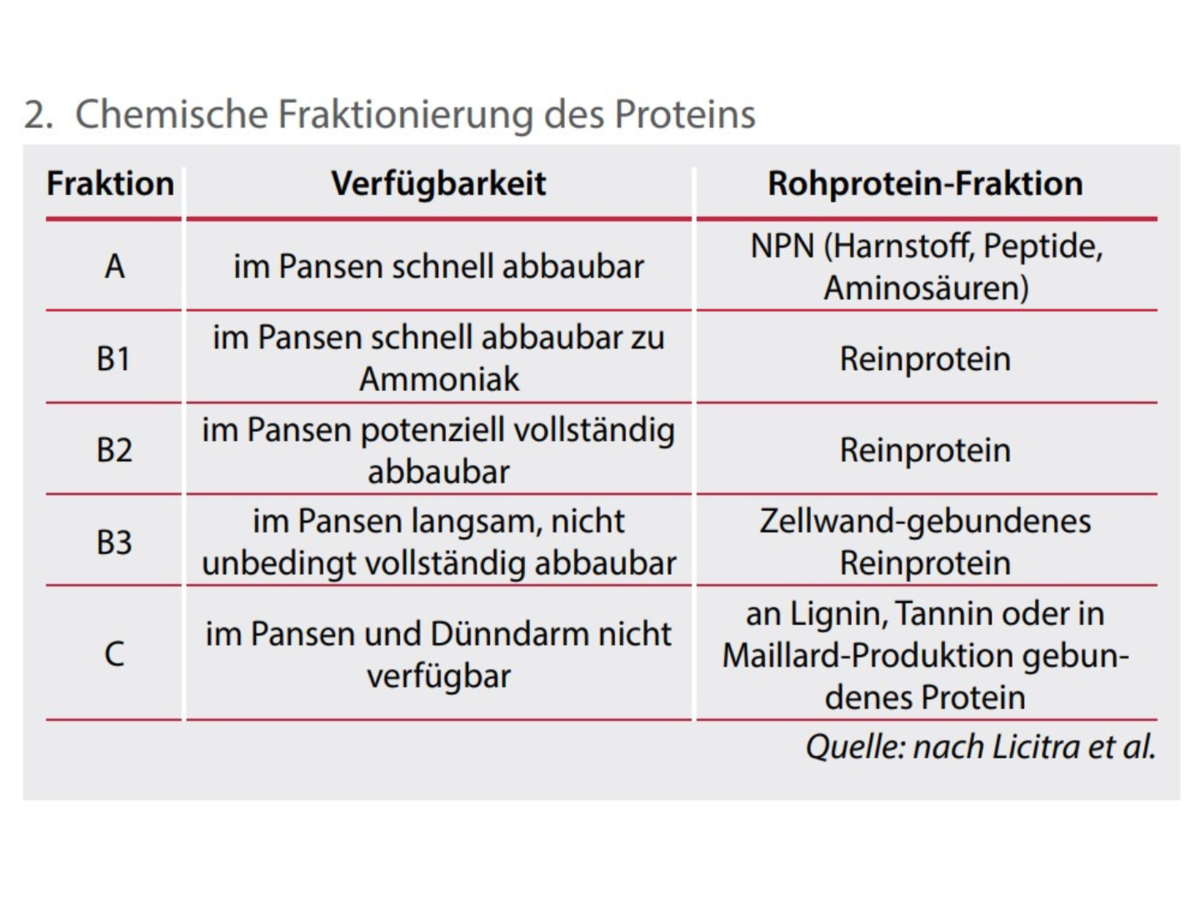 Tabelle zu CNCPS und der chemischen Fraktionierung des Proteins
