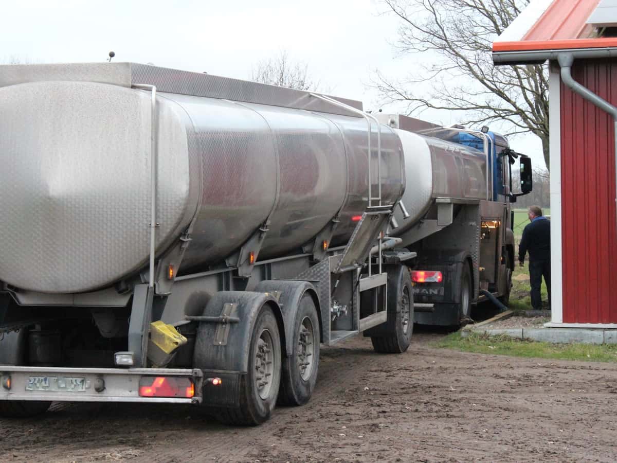 Ein Tankwagen pumpt Milch an einem Kuhstall ab.