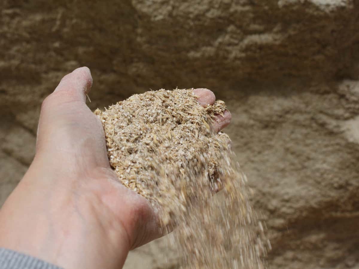 Schrot Mehl aus betriebseigenem Getreide.