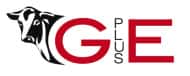 Logo des GplusE-Proiketes