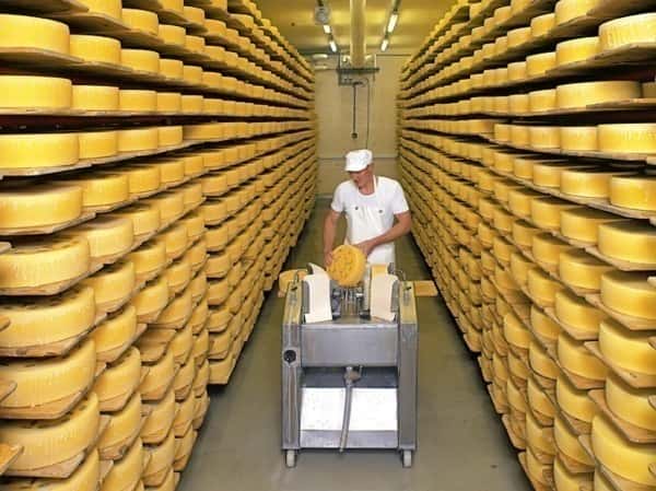 Vor allem der Handel mit dem höherwertigen Milchprodukt-Segment Käse könnte von der russischen Einfuhrbeschränkung getroffen werden.