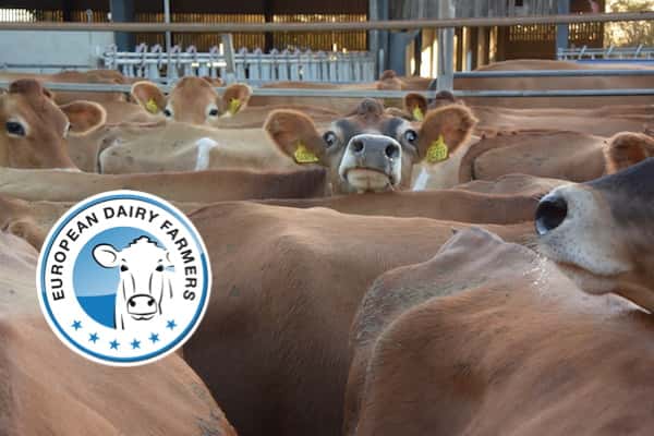European Dairy Farmers