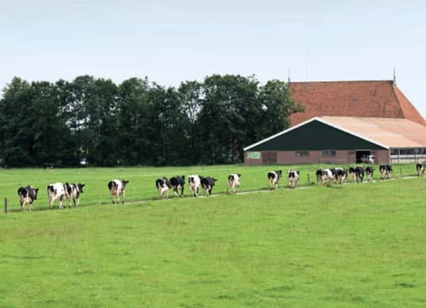 farm_nl.png