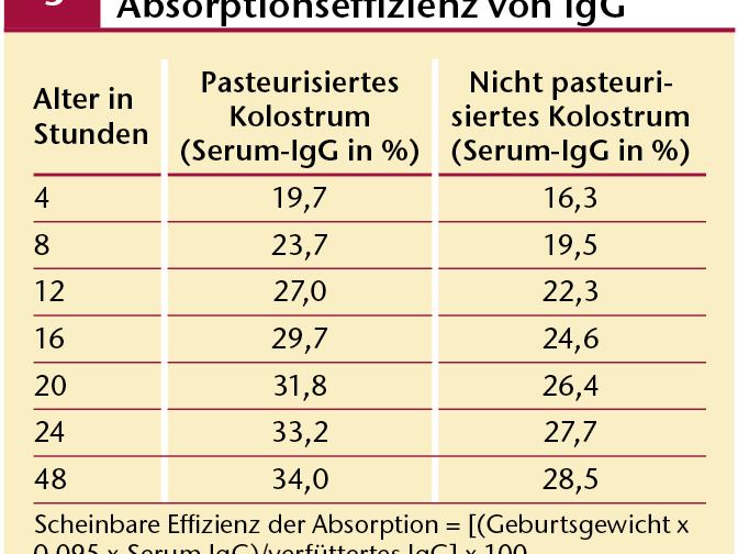ds_09.09_kolostrum_absorptionseffizienz.png