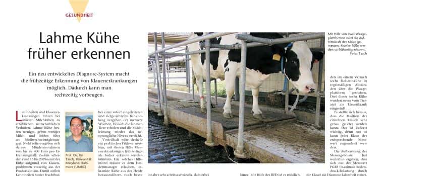 Lahme Kühe früher erkennen | Elite Magazin
